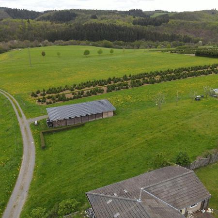 Ferienwohnung Zum Nuerburgring Munk Ngoại thất bức ảnh